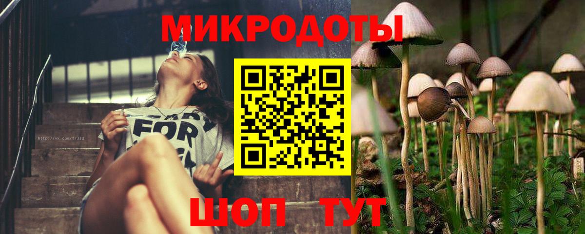 Псилоцибиновые грибы ЛСД Изобильный