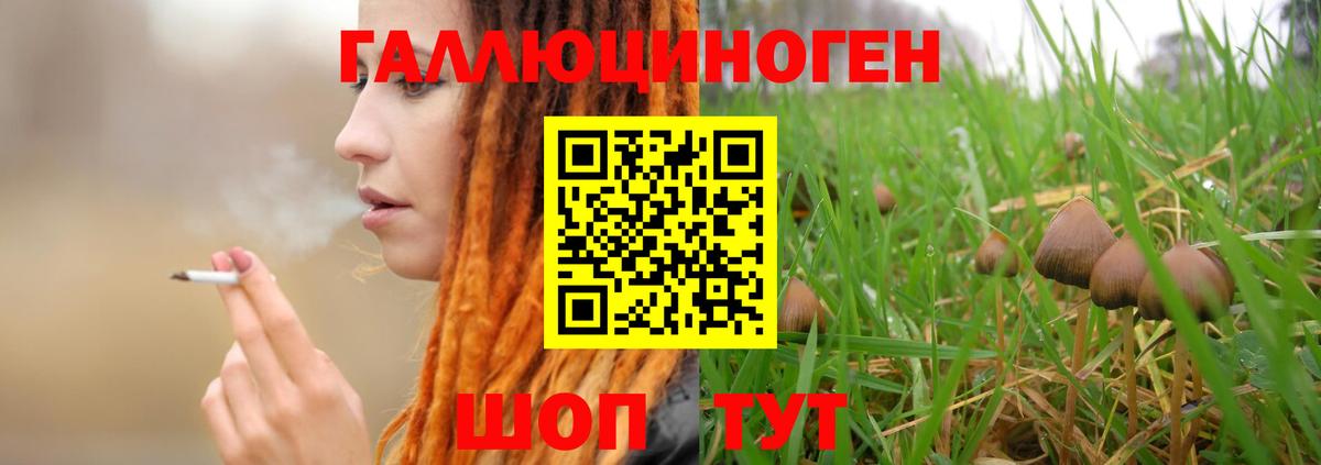 Галлюциногенные грибы Psilocybine cubensis  Галлюциногенные грибы Psilocybine cubensis  Изобильный  Вход с VPN 